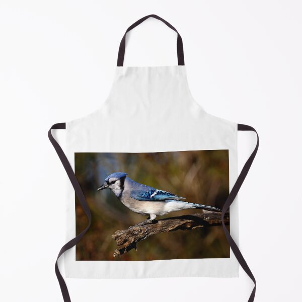 Item preview, Blue Jay designed and sold by James Cumming.