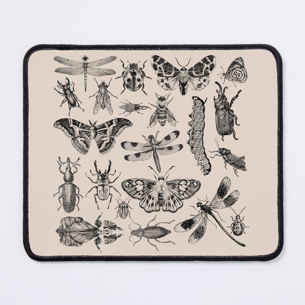 Item preview, Collection of Insects designed and sold by Mad March Hares.