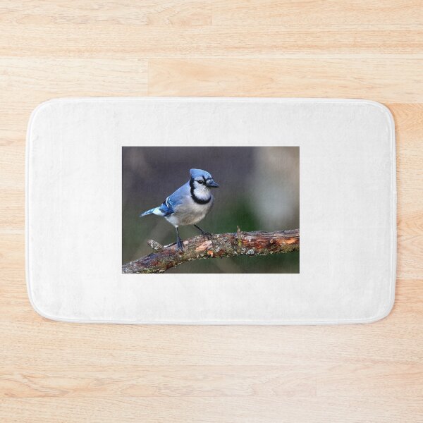 Artikelvorschau, Blue Jay entworfen und verkauft von James Cumming.