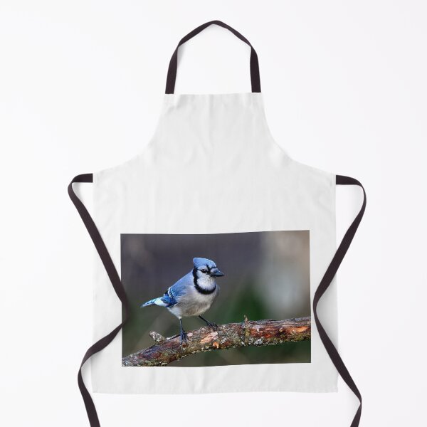 Item preview, Blue Jay designed and sold by James Cumming.