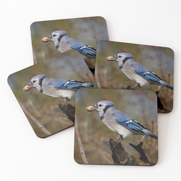Item preview, Blue Jay designed and sold by James Cumming.