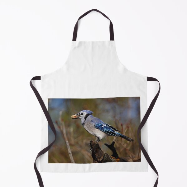 Item preview, Blue Jay designed and sold by James Cumming.