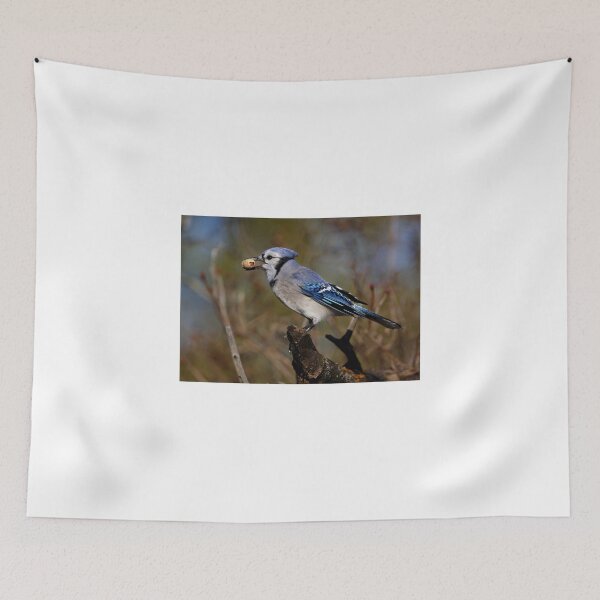 Item preview, Blue Jay designed and sold by James Cumming.
