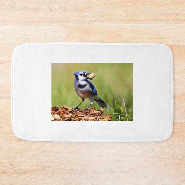 Artikelvorschau, Blue Jay entworfen und verkauft von James Cumming.