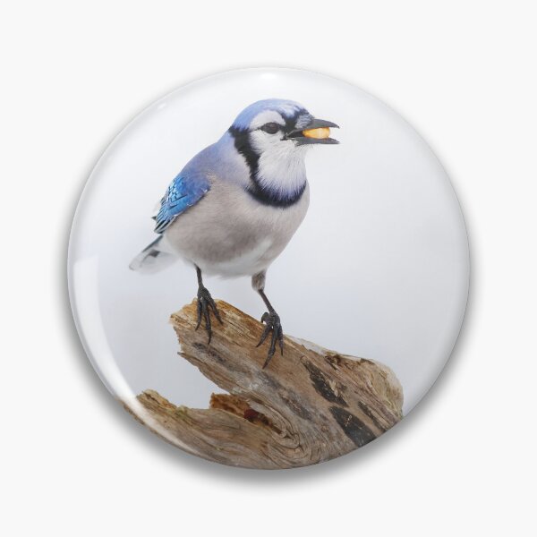 Item preview, Blue on White - Blue jay designed and sold by James Cumming.