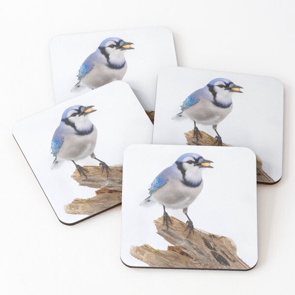 Item preview, Blue on White - Blue jay designed and sold by James Cumming.