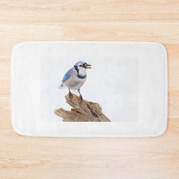 Item preview, Blue on White - Blue jay designed and sold by James Cumming.