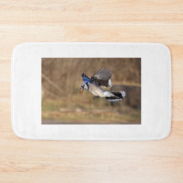 Item preview, Have nut - Will travel - Blue Jay designed and sold by James Cumming.