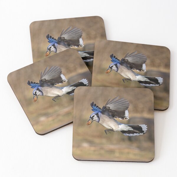 Item preview, Have nut - Will travel - Blue Jay designed and sold by James Cumming.
