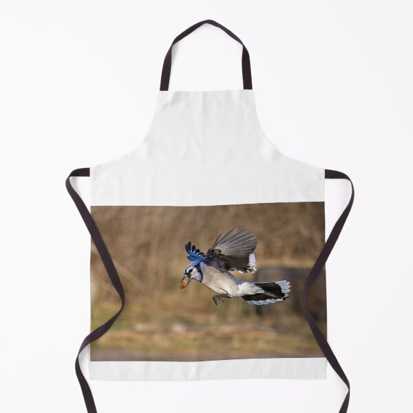Item preview, Have nut - Will travel - Blue Jay designed and sold by James Cumming.