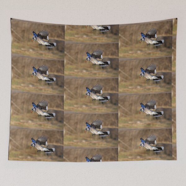 Item preview, Have nut - Will travel - Blue Jay designed and sold by James Cumming.
