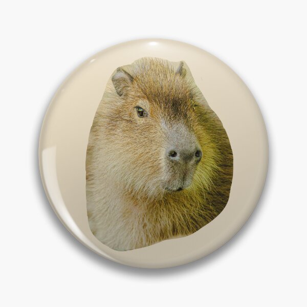 Item preview, Capy love designed and sold by Dalyndigital Photography.