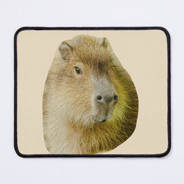 Item preview, Capy love designed and sold by Dalyndigital Photography.