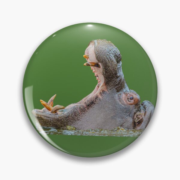 Item preview, Open wide  designed and sold by Dalyndigital Photography.