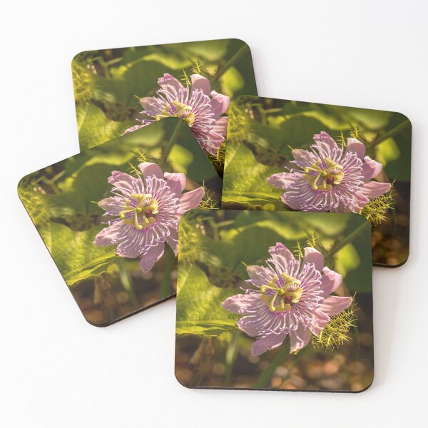Item preview, Passionflower in the Sunlight designed and sold by Debra Martz.