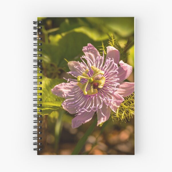 Item preview, Passionflower in the Sunlight designed and sold by Debra Martz.