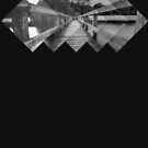 The Bridge - Nature and Geometry in Black and White by Denis Marsili