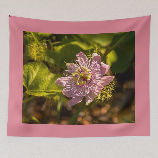 Item preview, Passionflower in the Sunlight designed and sold by Debra Martz.