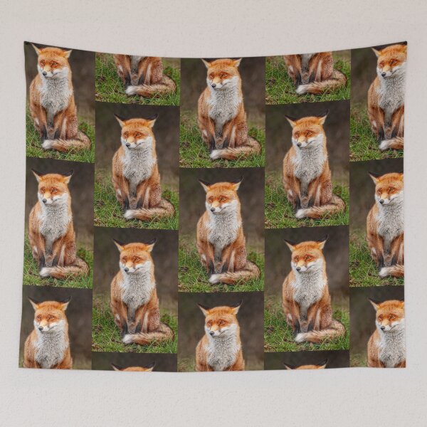 Item preview,  Foxy Lady Sat Waiting  designed and sold by Dalyndigital Photography.