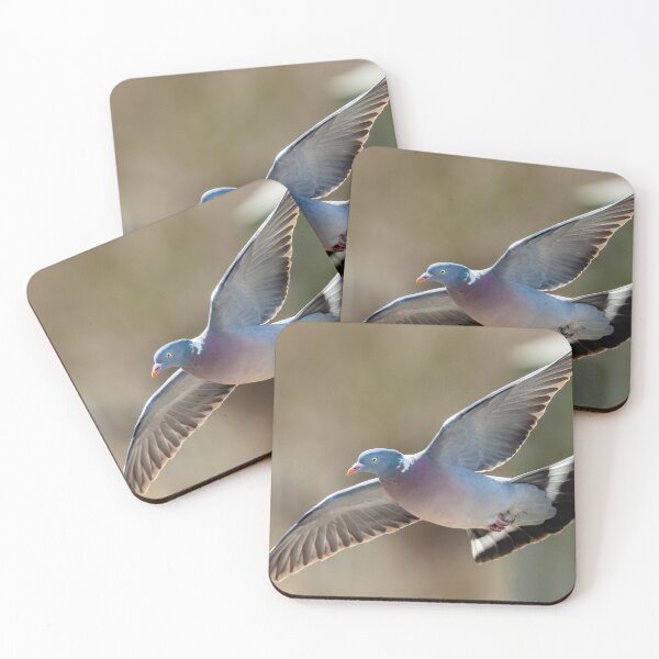 Item preview, Woodpigeon in flight designed and sold by Dalyndigital Photography.