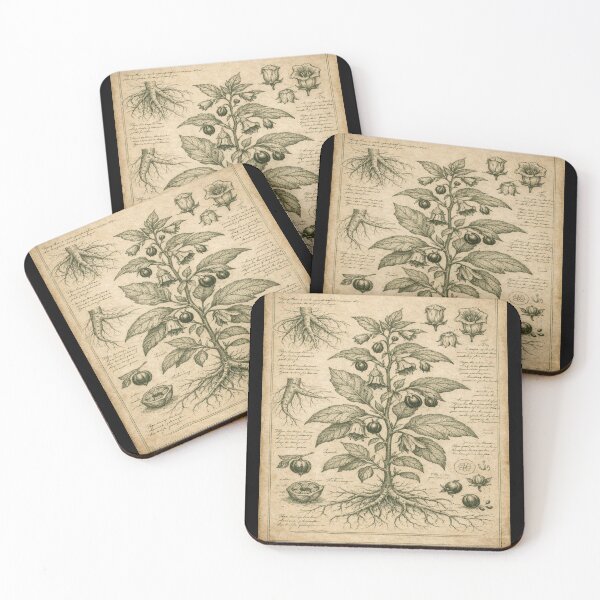 Item preview, Botanical Engraving Illustration – Gift for Book Lovers • Dark Academia Engraving designed and sold by JacobKAurumhead.