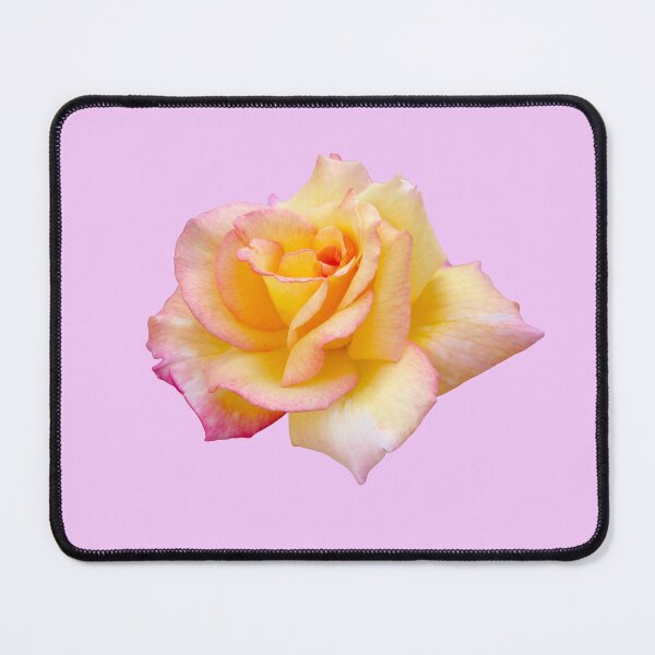 Item preview, pink and yellow rose  designed and sold by SophiaGrace9.