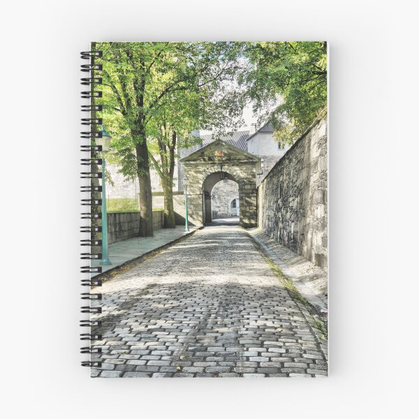Item preview, ( 2 ) DOF on a Cobblestone Driveway designed and sold by Larry Davis.