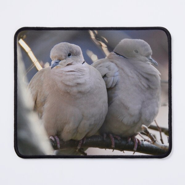 Item preview, Lovebirds designed and sold by Ribster13.