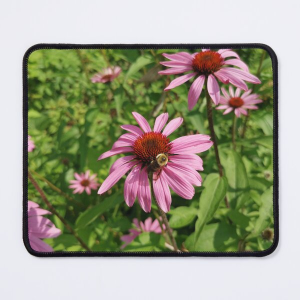 Item preview, Busy Bumblebee on Purple Coneflower designed and sold by Carolly Dawn Photography.