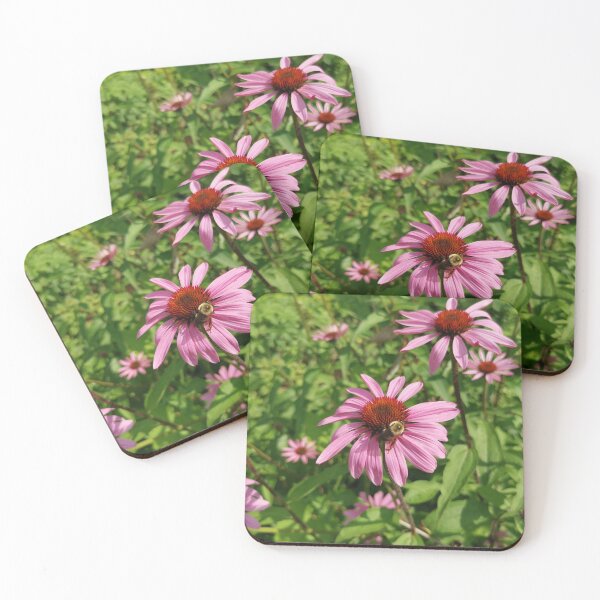 Item preview, Busy Bumblebee on Purple Coneflower designed and sold by Carolly Dawn Photography.