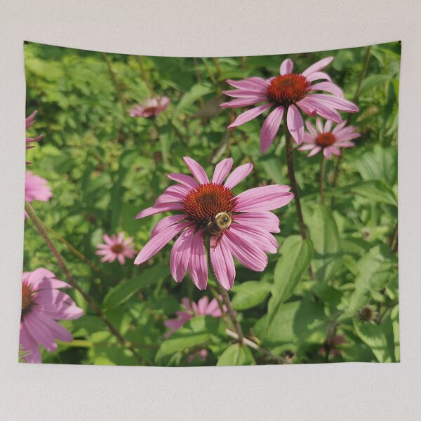 Item preview, Busy Bumblebee on Purple Coneflower designed and sold by Carolly Dawn Photography.