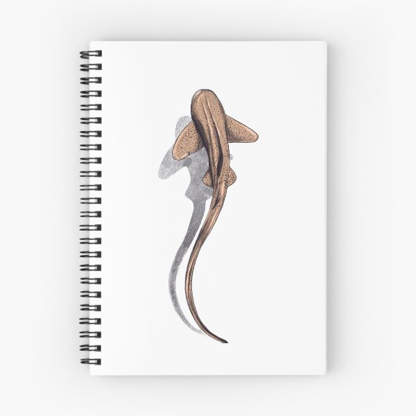Item preview, Leopard Shark designed and sold by Lily Tomkinson.