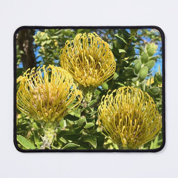 Item preview, Yellow Pincushion Protea Bloom designed and sold by Be Captured by Brittany Emma.