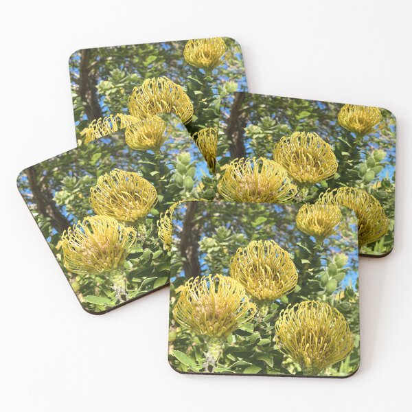 Item preview, Yellow Pincushion Protea Bloom designed and sold by Be Captured by Brittany Emma.