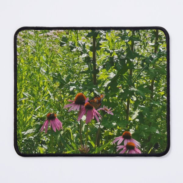 Item preview, Summer Monarch Butterfly Garden designed and sold by Carolly Dawn Photography.