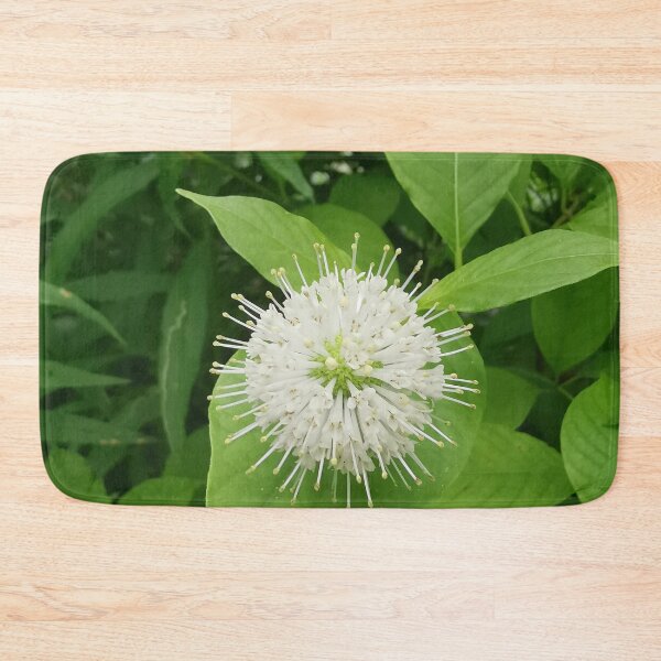 Item preview, White Buttonbush Bloom Close Up designed and sold by Carolly Dawn Photography.