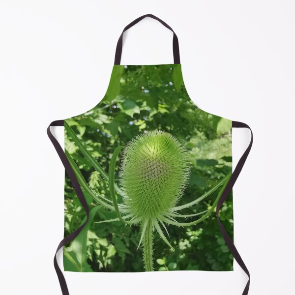 Item preview, Spiky Green Teasel Wildflower designed and sold by Carolly Dawn Photography.