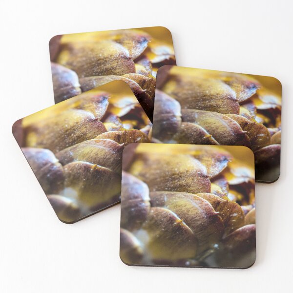 Item preview, Nature’s Geometry designed and sold by Photo-By-Nate.