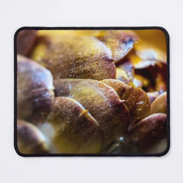 Item preview, Nature’s Geometry designed and sold by Photo-By-Nate.