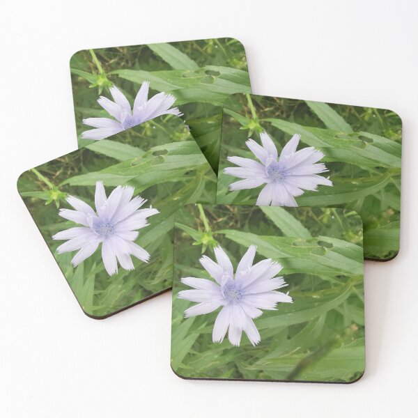 Item preview, Delicate Blue Chicory Summer Bloom designed and sold by Carolly Dawn Photography.