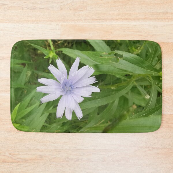 Item preview, Delicate Blue Chicory Summer Bloom designed and sold by Carolly Dawn Photography.