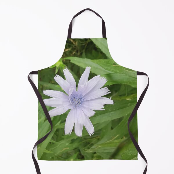 Item preview, Delicate Blue Chicory Summer Bloom designed and sold by Carolly Dawn Photography.