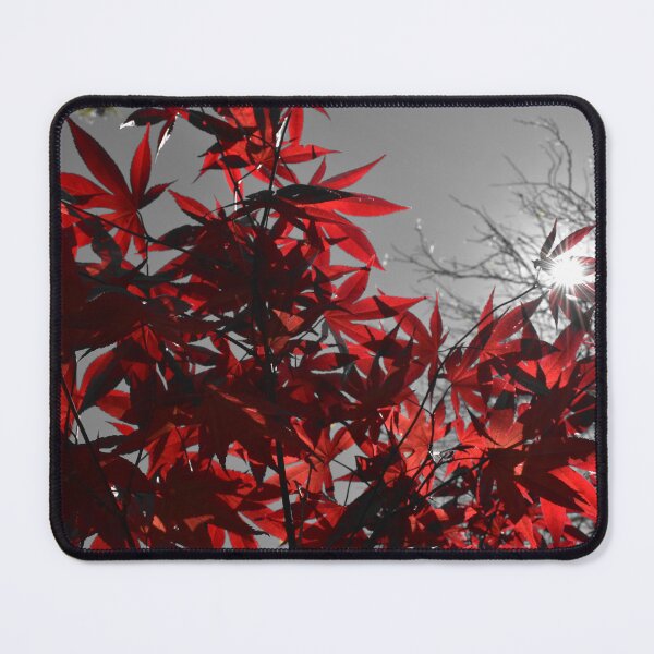Item preview, Embers of Autumn designed and sold by Yolanda Caporn Art.
