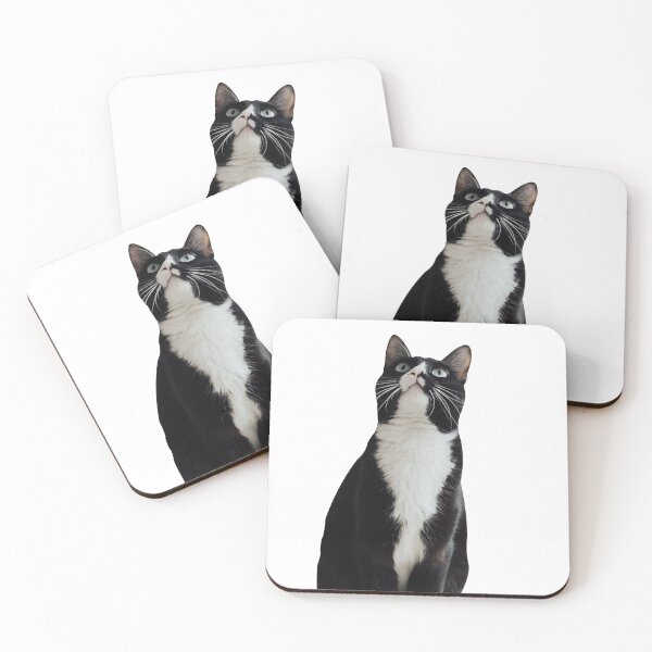 Item preview, Funny Black Cat Lookup, Cute Kitty Animal Illustration designed and sold by subarashii11.