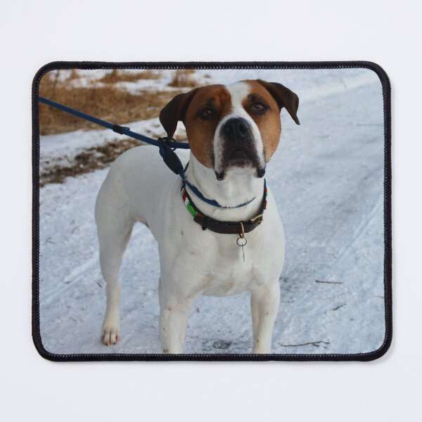 Item preview, Certified Good Boy #2 designed and sold by recoveringartist.