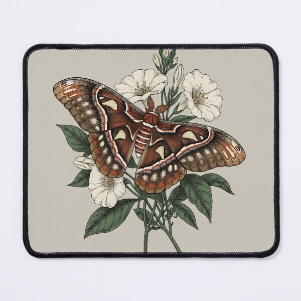 Item preview, Cecropia Moth Among White Wildflowers designed and sold by BirdsnStuff.