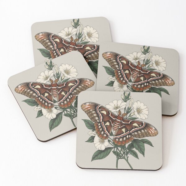 Item preview, Cecropia Moth Among White Wildflowers designed and sold by BirdsnStuff.