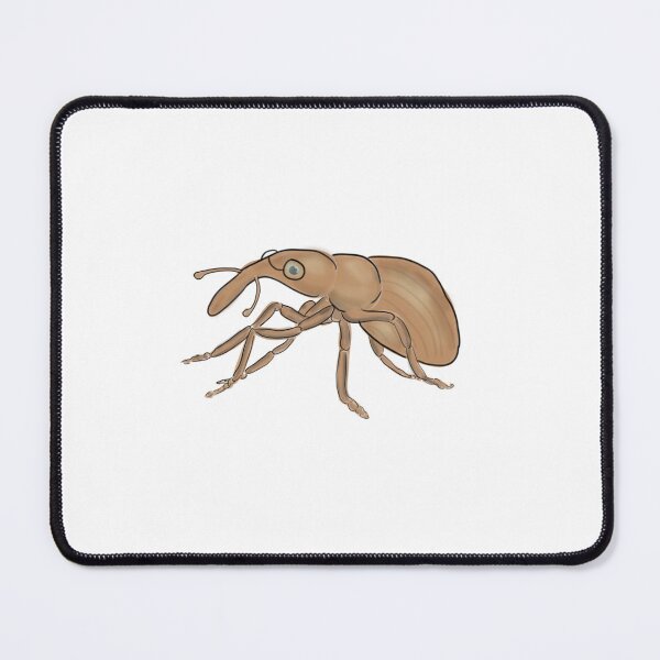 Artikelvorschau, Professor Weevil Bug Art – Niedliche, gemütliche Insektenillustration entworfen und verkauft von EdithsAttic.