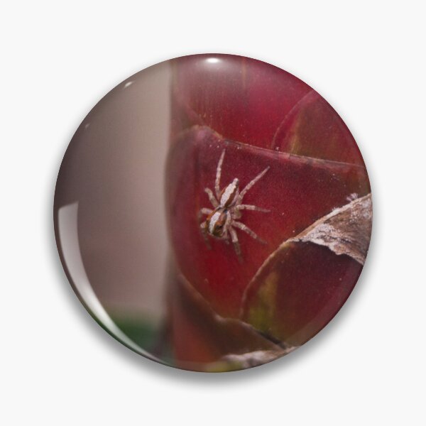 Item preview, small jumping spider designed and sold by ROSE ANN BANILAR.