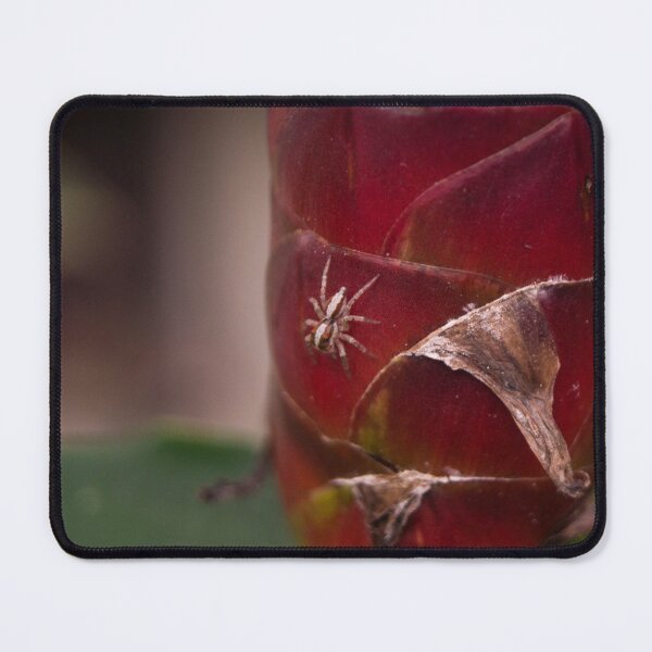 Item preview, small jumping spider designed and sold by ROSE ANN BANILAR.